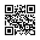 QR CODE 110