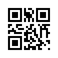 QR CODE 538