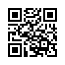 QR CODE 113