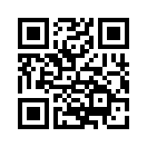 QR CODE 22