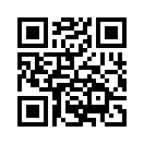 QR CODE 29