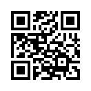 QR CODE 65