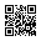 QR CODE 81