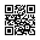 QR CODE 91
