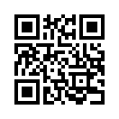 QR CODE 42