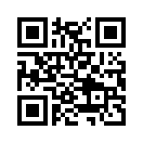 QR CODE 2909