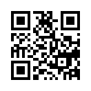 QR CODE 4331