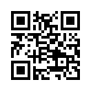 QR CODE 5336