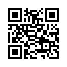 QR CODE 5338