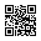 QR CODE 1381
