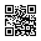 QR CODE 2081