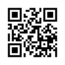 QR CODE 133