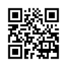 QR CODE 238