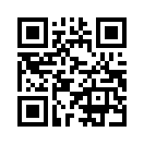 QR CODE 256