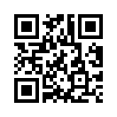 QR CODE 299