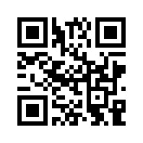 QR CODE 31