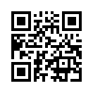 QR CODE 317