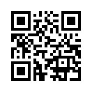 QR CODE 329