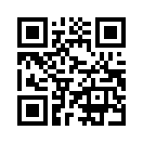 QR CODE 336