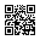 QR CODE 336
