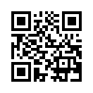 QR CODE 338