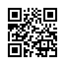 QR CODE 339