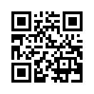 QR CODE 366
