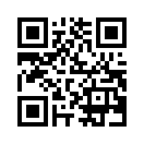 QR CODE 379