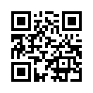 QR CODE 389