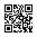 QR CODE 393