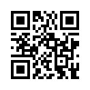 QR CODE 394