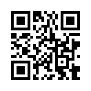 QR CODE 395