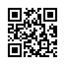 QR CODE 401