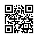 QR CODE 445