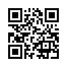 QR CODE 461
