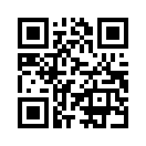 QR CODE 463