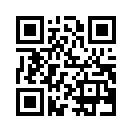 QR CODE 481