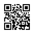 QR CODE 482