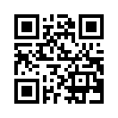 QR CODE 496