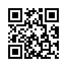 QR CODE 501