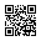 QR CODE 506