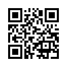QR CODE 529