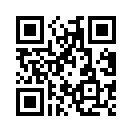 QR CODE 65