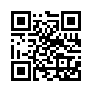 QR CODE 2295