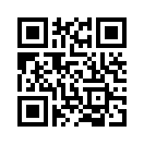 QR CODE 17