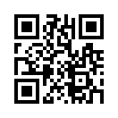 QR CODE 29