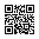 QR CODE 30