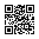 QR CODE 17