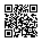 QR CODE 217