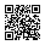 QR CODE 341